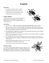 Insects on the Internet - PowerPoint Presentation Project for Students