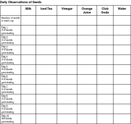 Vegetable Seed Germination Chart
