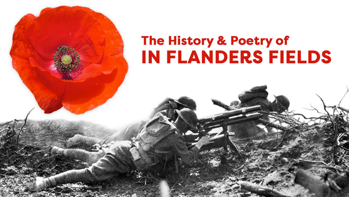 The History Poetry Of In Flanders Fields Teachervision