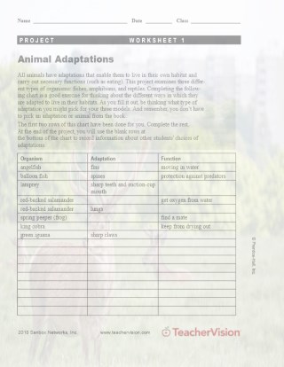 Animal Adaptations Project -- Worksheet 1 Printable (6th - 8th Grade) -  TeacherVision