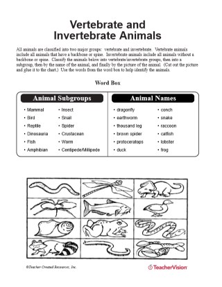 Invertebrate Chart Key