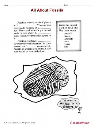 All About Fossils Printable 2nd 3rd Grade Teachervision