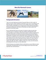 Meet the Mammals Background Information Image