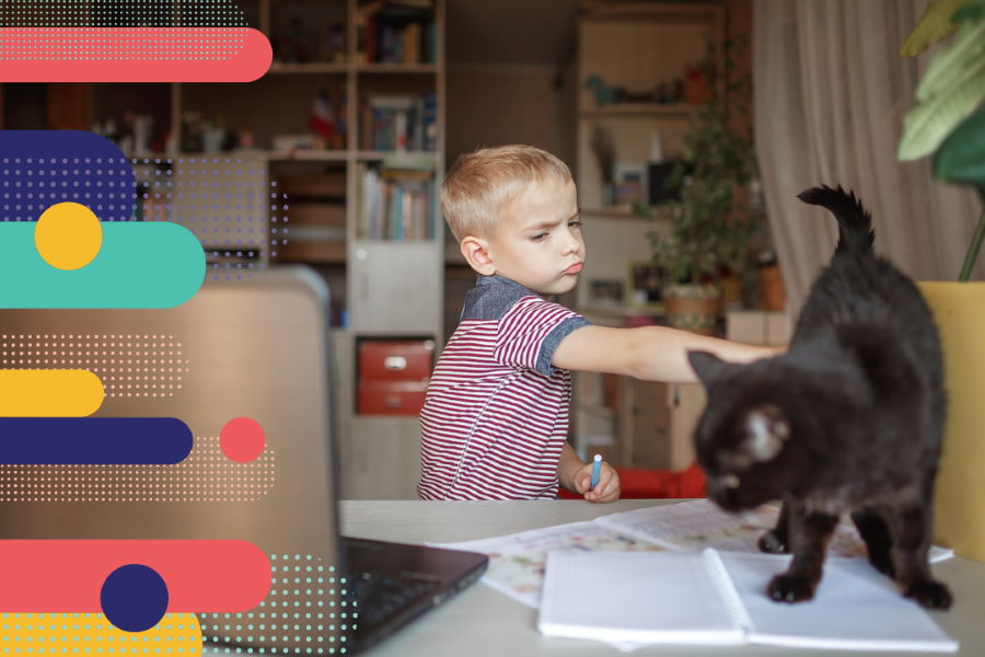 Distracted boy playing with cat in online class