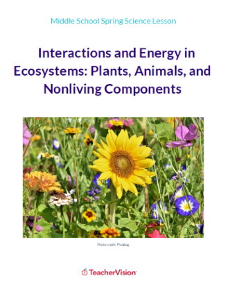 Interactions and Energy in Ecosystems 