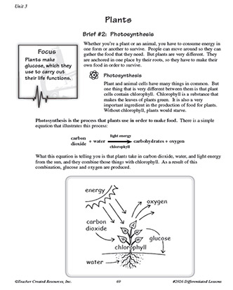 Plant Vocabulary Worksheet for 6th Grade Science