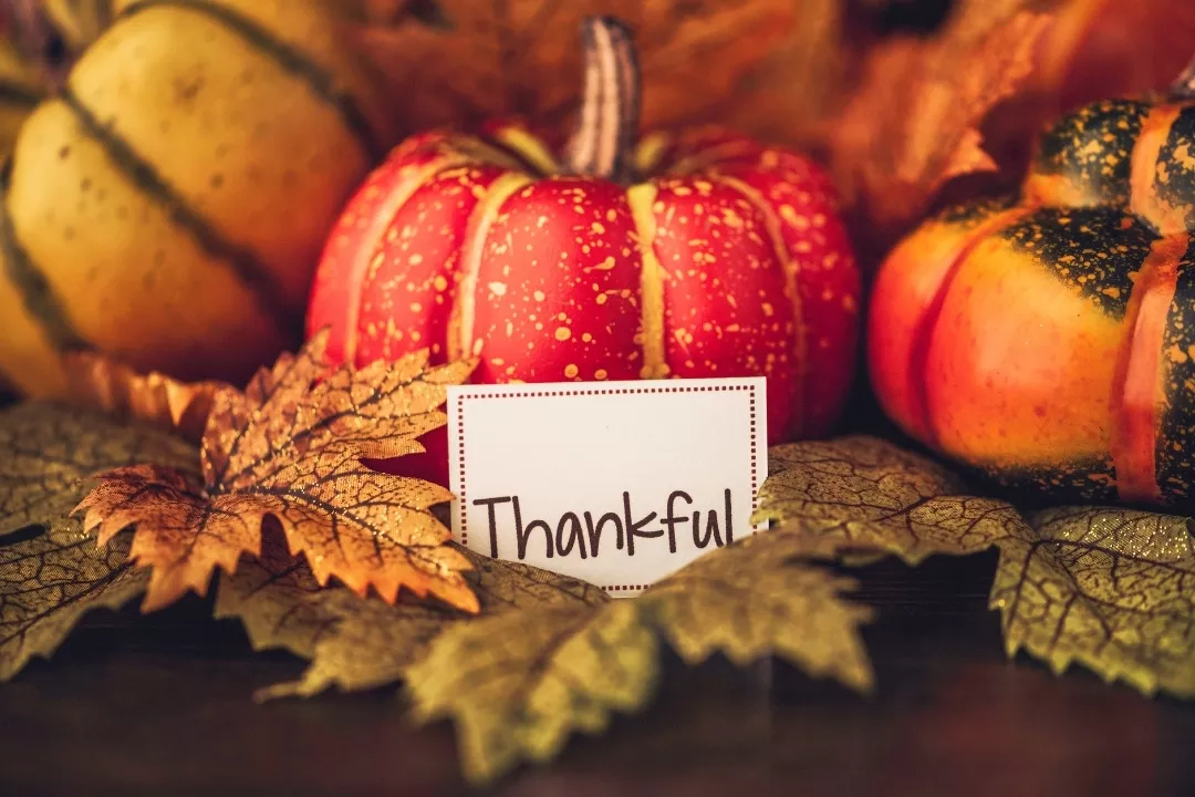 Reasons to be thankful for students