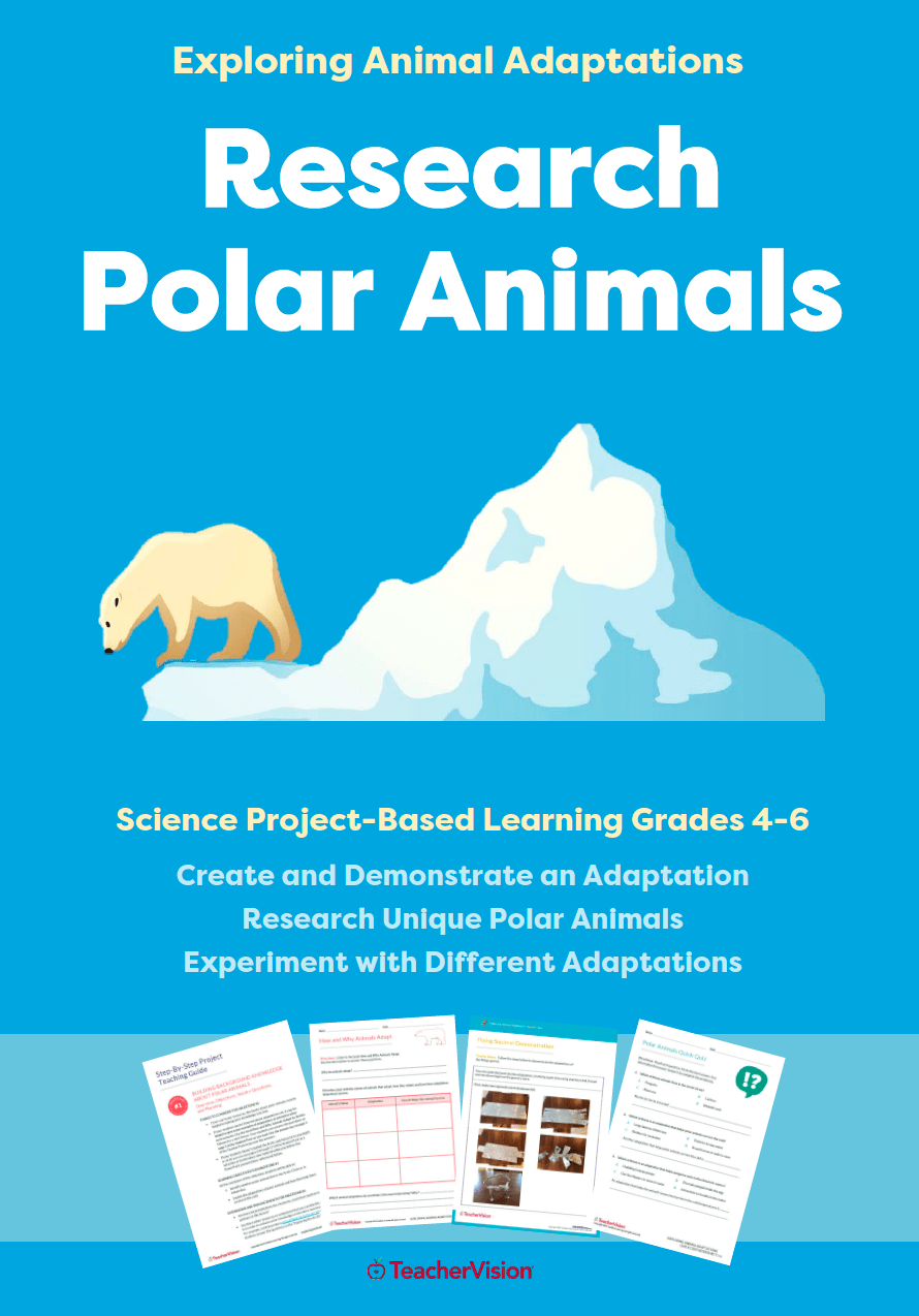 Research Polar Animals: Exploring Animal Adaptations Project-Based Learning  Unit - TeacherVision