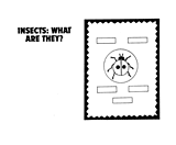 Insects Bulletin Board