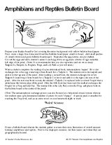 Amphibians and Reptiles Bulletin Board