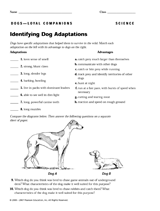 Identifying Dog Adaptations