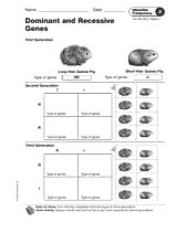 dominant and recessive traits