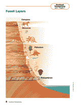 Fossil Layers