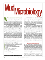 Mud Microbiology