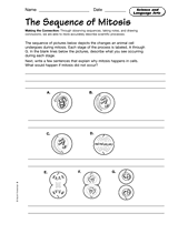 Science and Language Arts: The Sequence of Mitosis ...