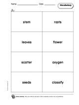Plants: Vocabulary 2