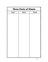 Three Parts of Plants
