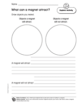 What Can a Magnet Attract?