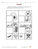 Insect Habitats (Kindergarten)