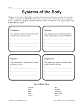 Systems of the Body