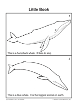 Whale Little Book