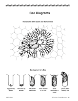 Bee Diagrams