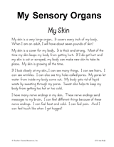 My Sensory Organs