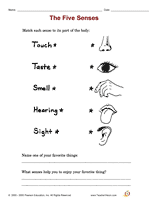 Identifying the Five Senses