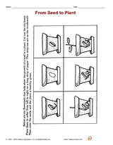 From Seed to Plant
