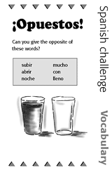 Spanish Vocabulary Challenge: Opposites 2