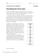 Classifying the Great Apes
