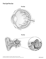 The Eye and the Ear (Blank) Printable