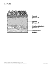 Soil Profile Diagram