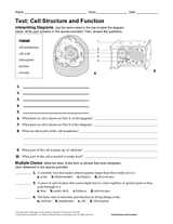 Life Science Test: Cell Structure and Function Printable (6th - 12th Grade)  - TeacherVision