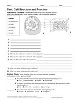 Life Science Test: Cell Structure and Function