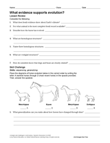 What Evidence Supports Evolution?  TeacherVision