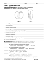 Life Science Test: Types of Plants