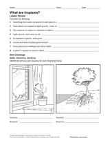 What Is Photosynthesis? Science Printable (Grades 6-12) - TeacherVision