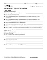 What Are the Physics of a Tree?