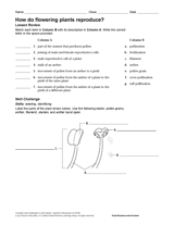 How Do Flowering Plants Reproduce?