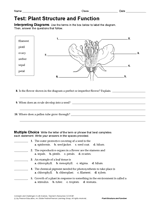 Life Science Test: Plant Structure and Function