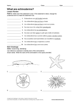 What Are Echinoderms?