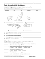 Vertebrates - Life Science Printable Test (6th-12th Grade) - TeacherVision