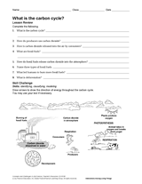 Cycle worksheet carbon on the Carbon Cycle