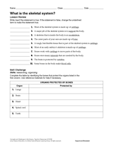 What Is the Skeletal System?