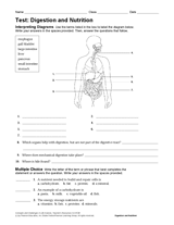 Life Science Test: Digestion and Nutrition