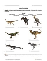 Identify the Dinosaurs