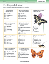 Insect Feeding and Defense Quiz