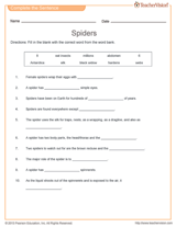 Spiders Quiz