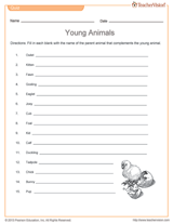 Young Animals Quiz | Science Printable (Grades 2-5) - TeacherVision
